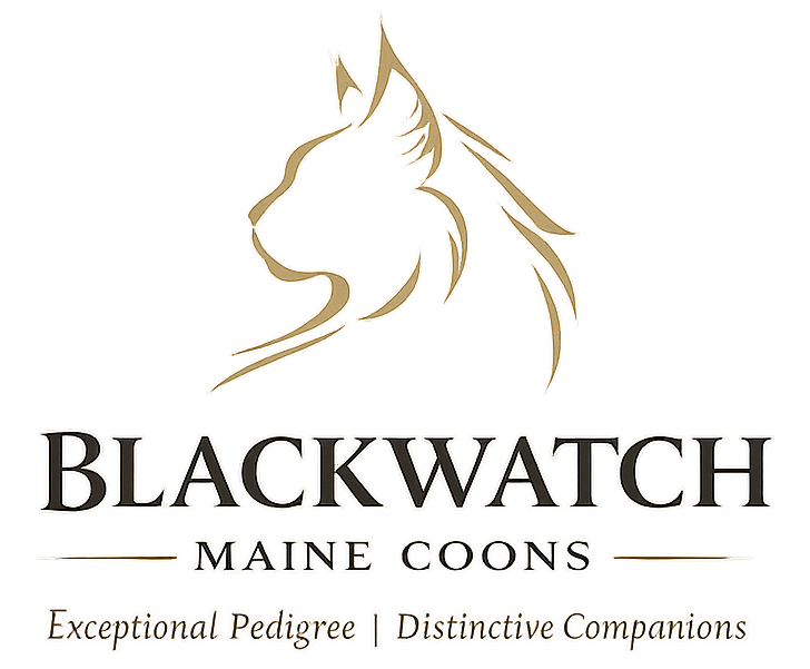 blackwatchlogofinal
